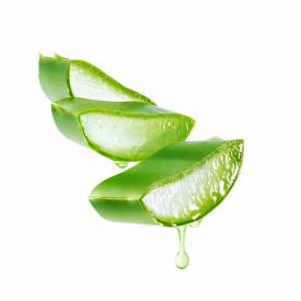 Aloe Vera Oil Extract